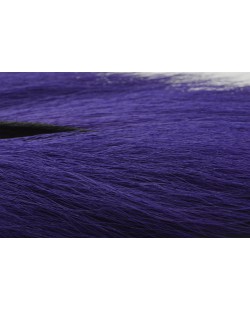 BUCKTAIL PURPLE